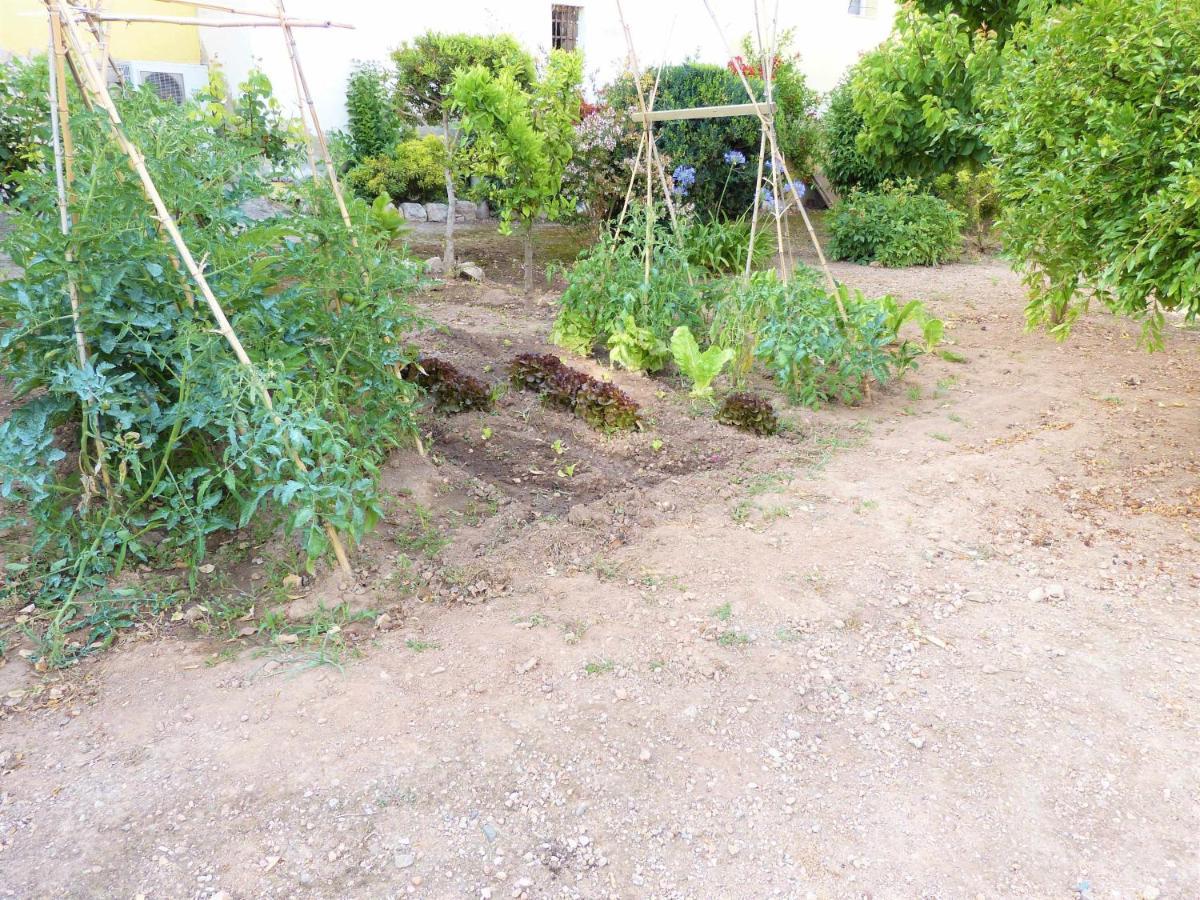 Villa Hort De La Cinteta Alcover Esterno foto